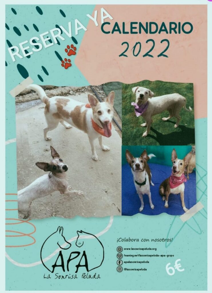 CALENDARIO 2022 + DECIMO NAVIDAD